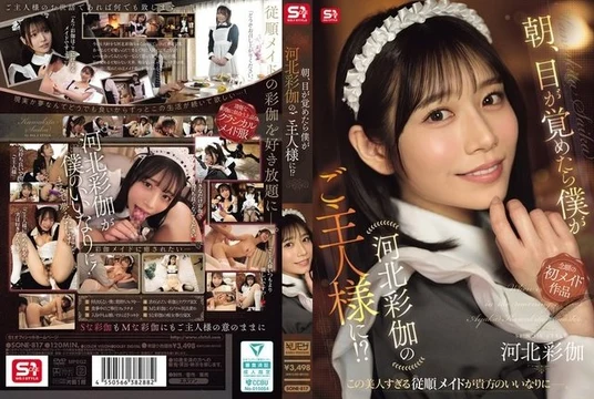 SONE-817 When I woke up in the morning, I found myself as Kawakita Ayaka's master!?