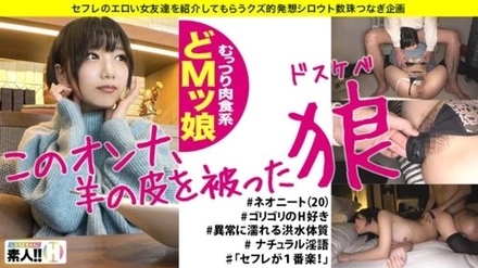 483SGK-013 Shinomiya