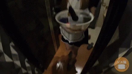 FC2-PPV-4663691 [Quantity & Limited Time 1800PT ⇒ 900PT] A famous maid-men girl in Tokyo gave me a large amount of semen drinks with an added secret option. IMEDAMAFC2