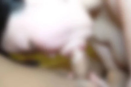 FC2-PPV-4702466 *Limited edition of the first limited number of coins* [Uncensored] [Face revealed] The young wife with big breasts, plump body, who was forced to take off due to a family member's mistake, had a brave side to serve her hard in everything [Part 2]