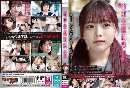 YDNS-011 Train R** Punishment #011