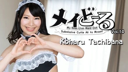 HEYZO-1904 Maydoll Vol.14 ~Master's Obedient Sex Doll~