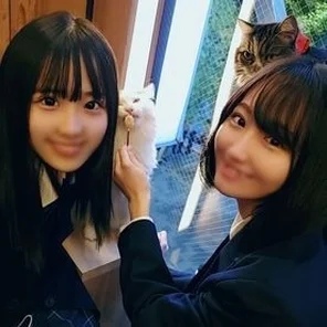 FC2-PPV-2477518 Full appearance! - ! - Limited number! - [Uncensored] Brought two orthodox beautiful girl students into a closed room and committed obscenity... 3P vaginal cum shot on a developing pure white body! - ! - It was a dream-like moment of bliss...