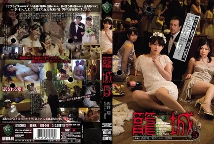RBD-541 [Uncensored Leaked] Cage 5 Sho Nishino Hikari Hino Yui Asano