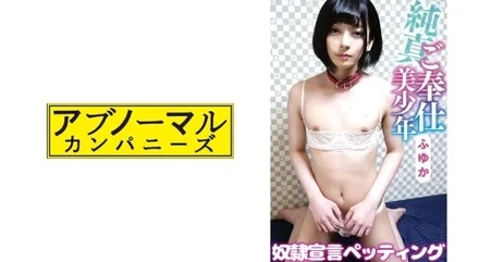 481SACZ-197 Fuyuka 2